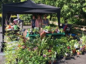 Summer plant sale.